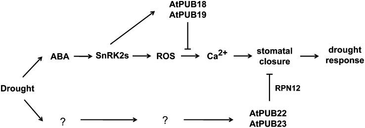 Figure 7.