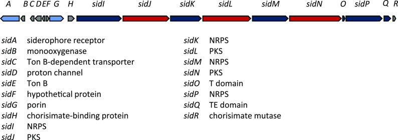 FIG 8