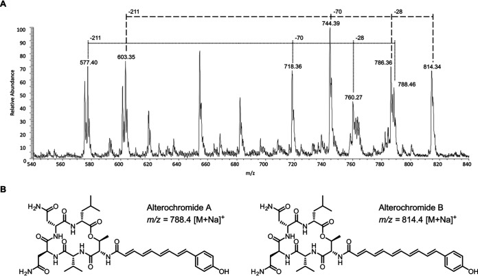 FIG 2