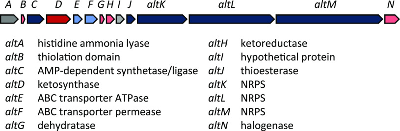 FIG 1