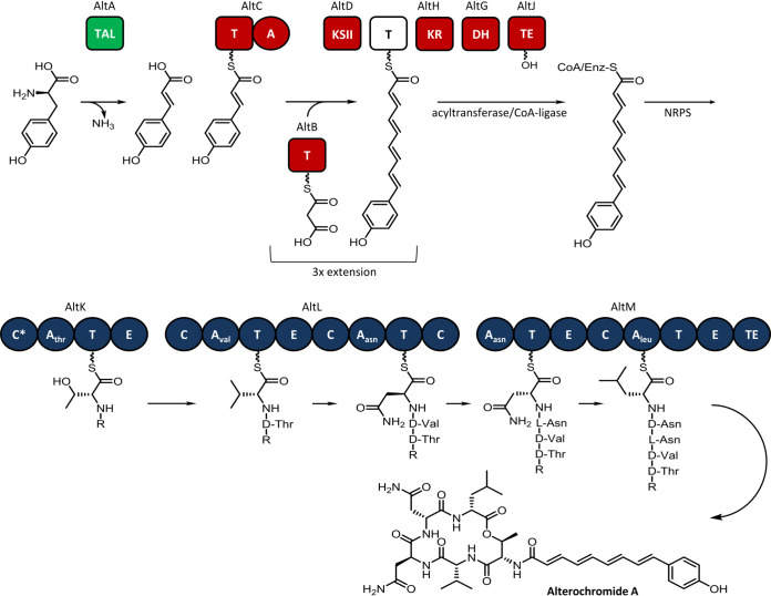 FIG 3