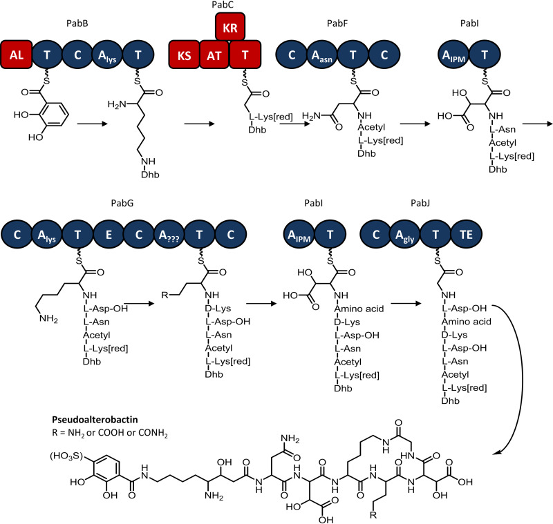 FIG 5