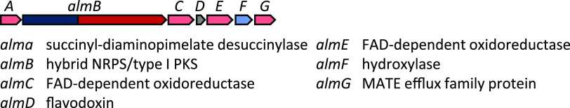 FIG 6