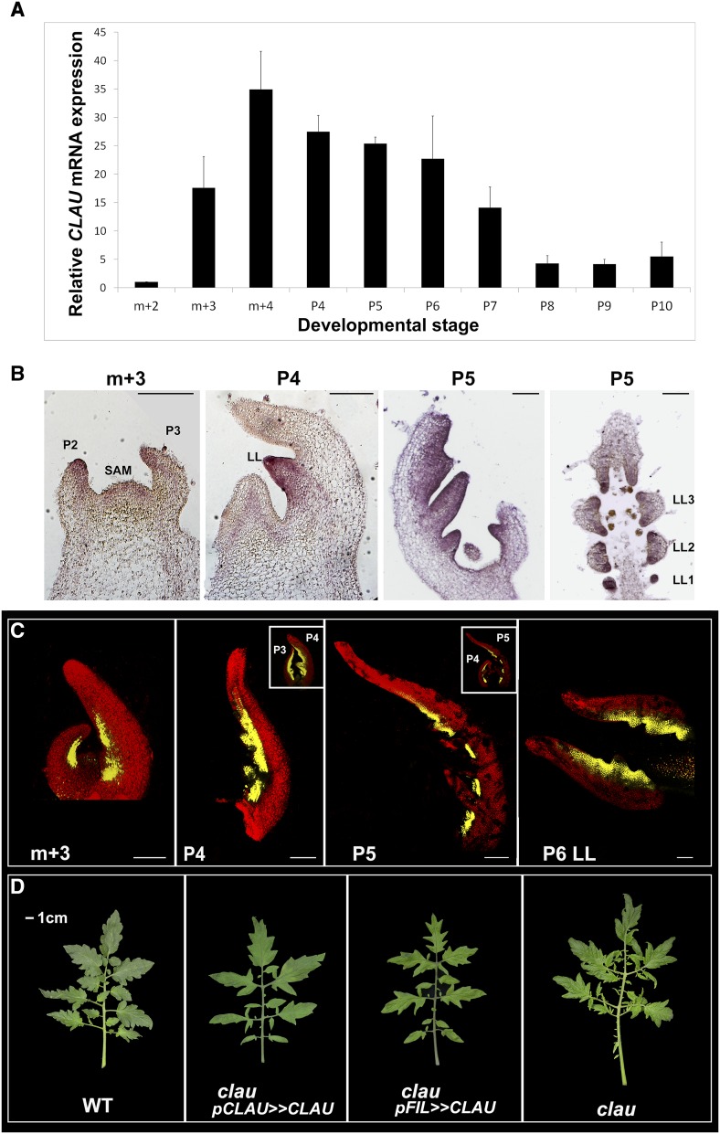 Figure 2.