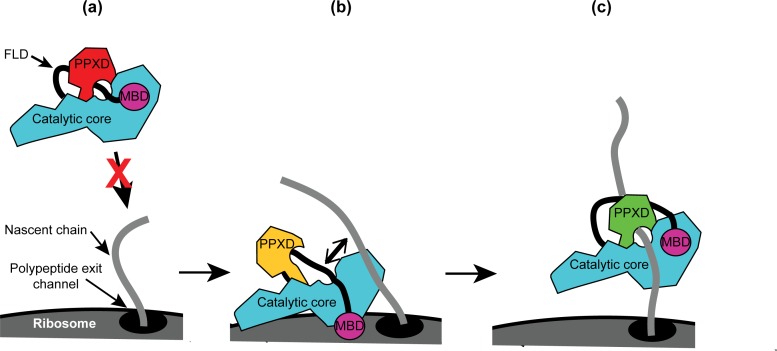 Figure 6.