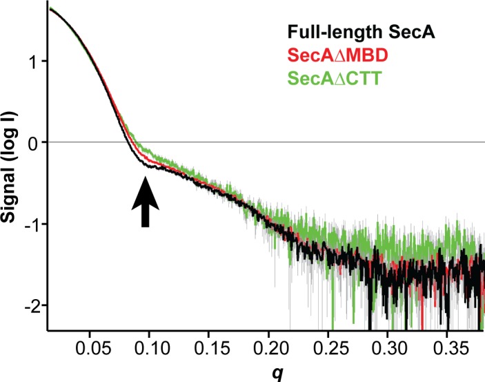 Figure 5—figure supplement 1.