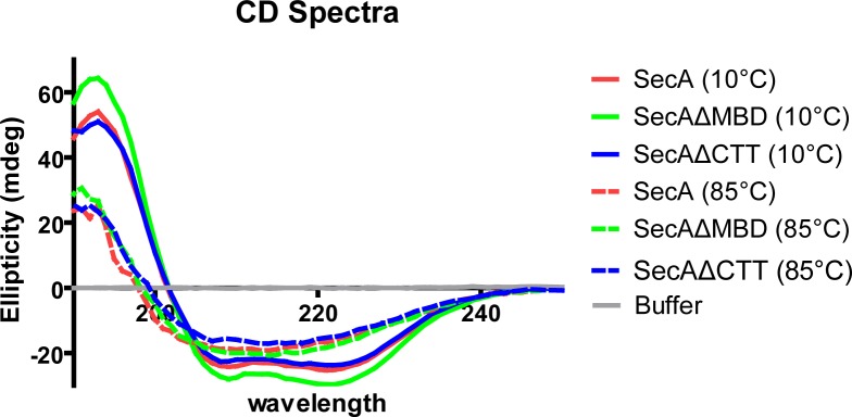 Figure 2—figure supplement 1.