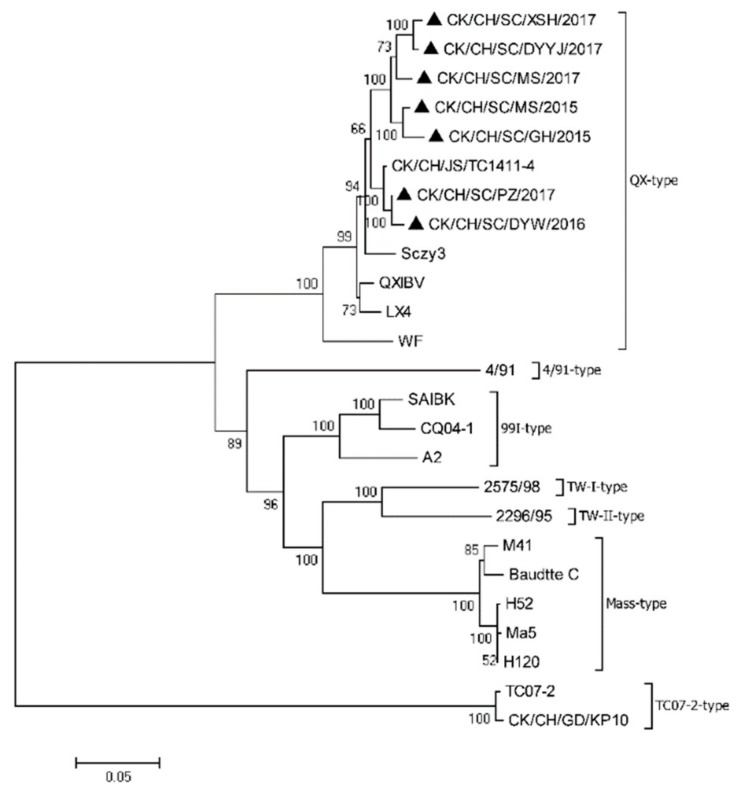 Figure 2