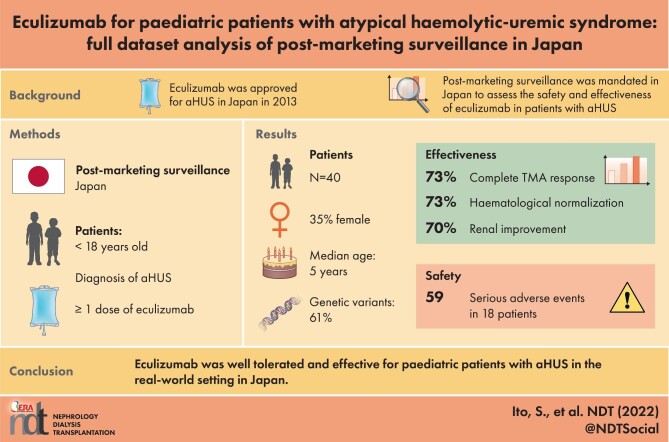 Graphical Abstract