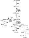 FIG. 4.