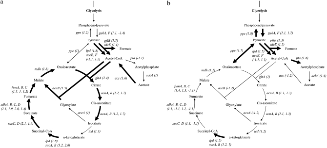 Figure 3.—