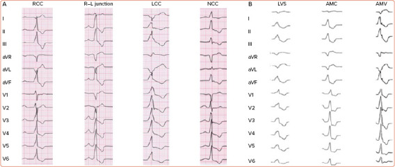 Figure 4: