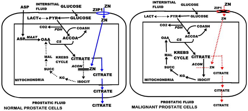 Fig. (2)