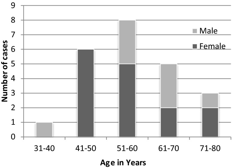 Fig. 1