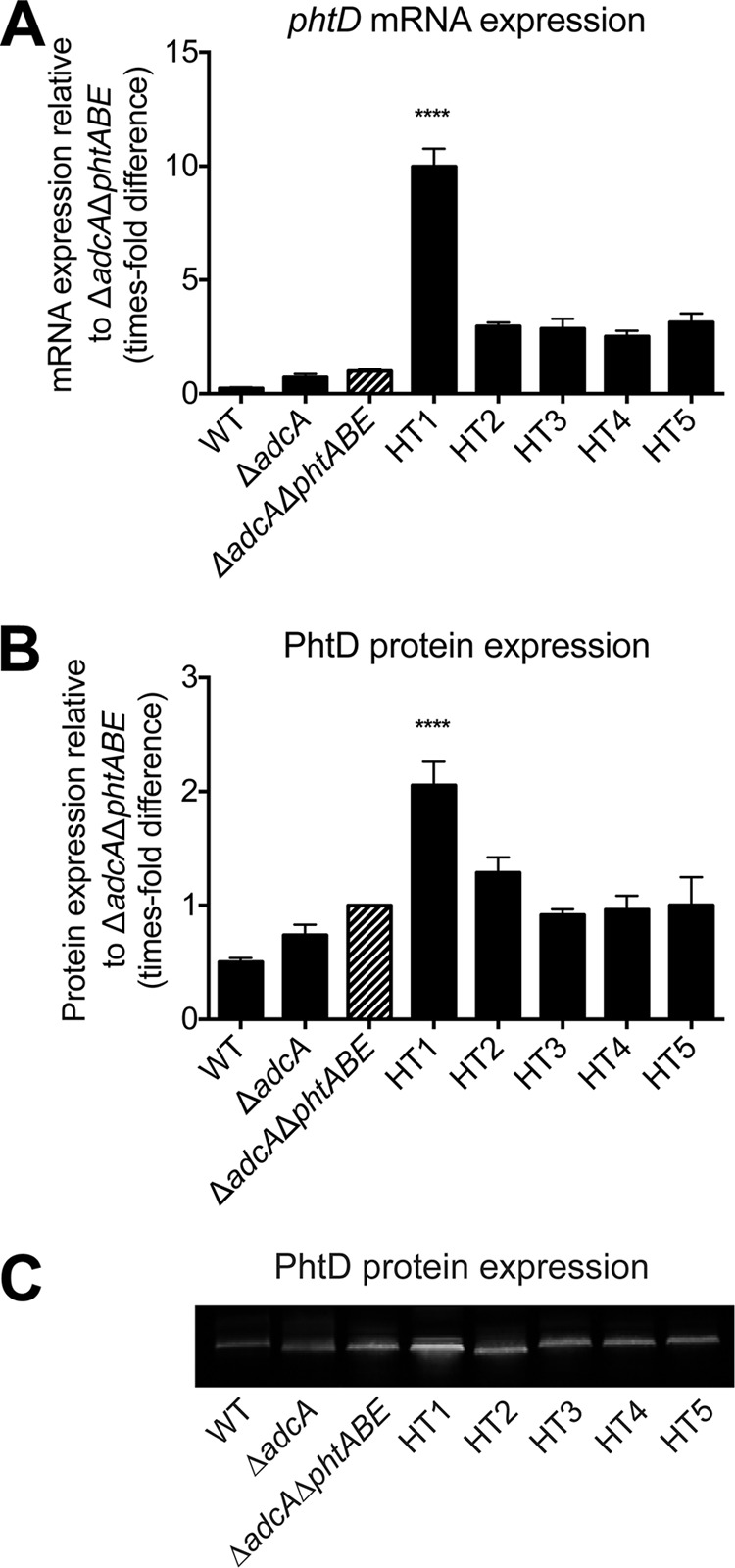 FIG 3