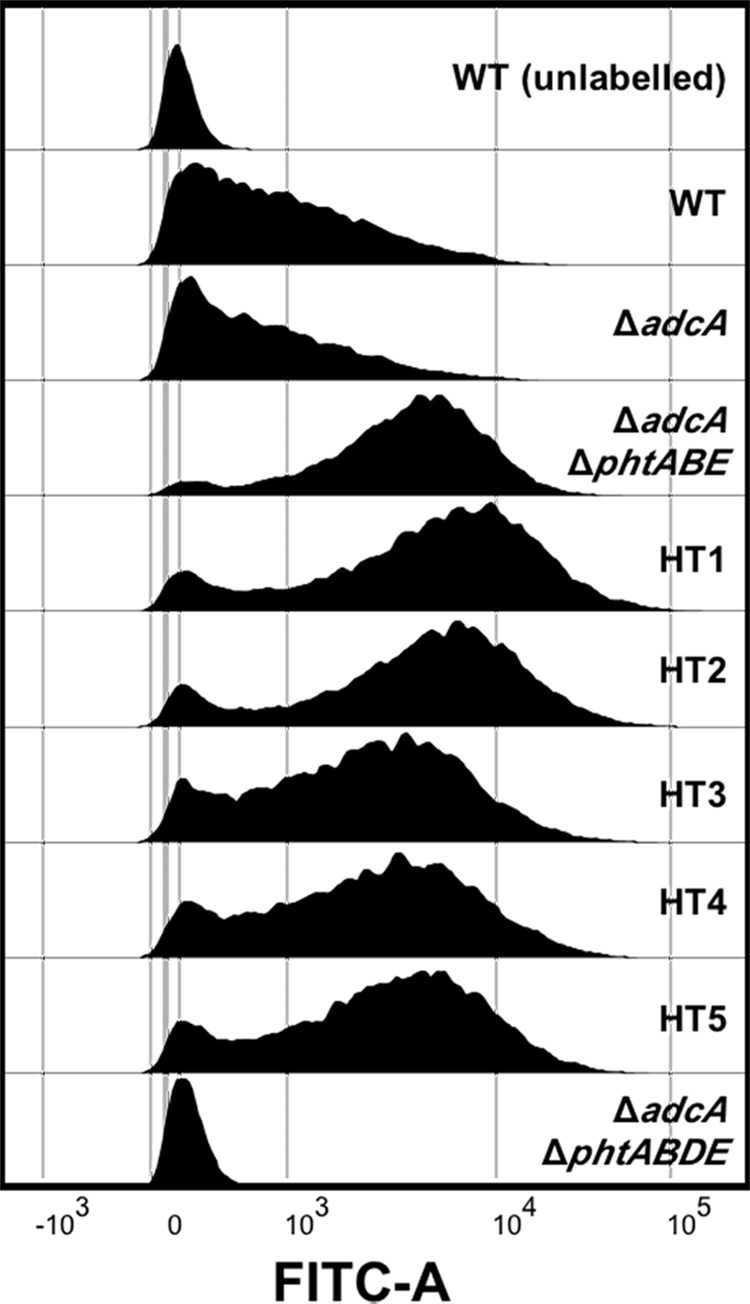 FIG 2