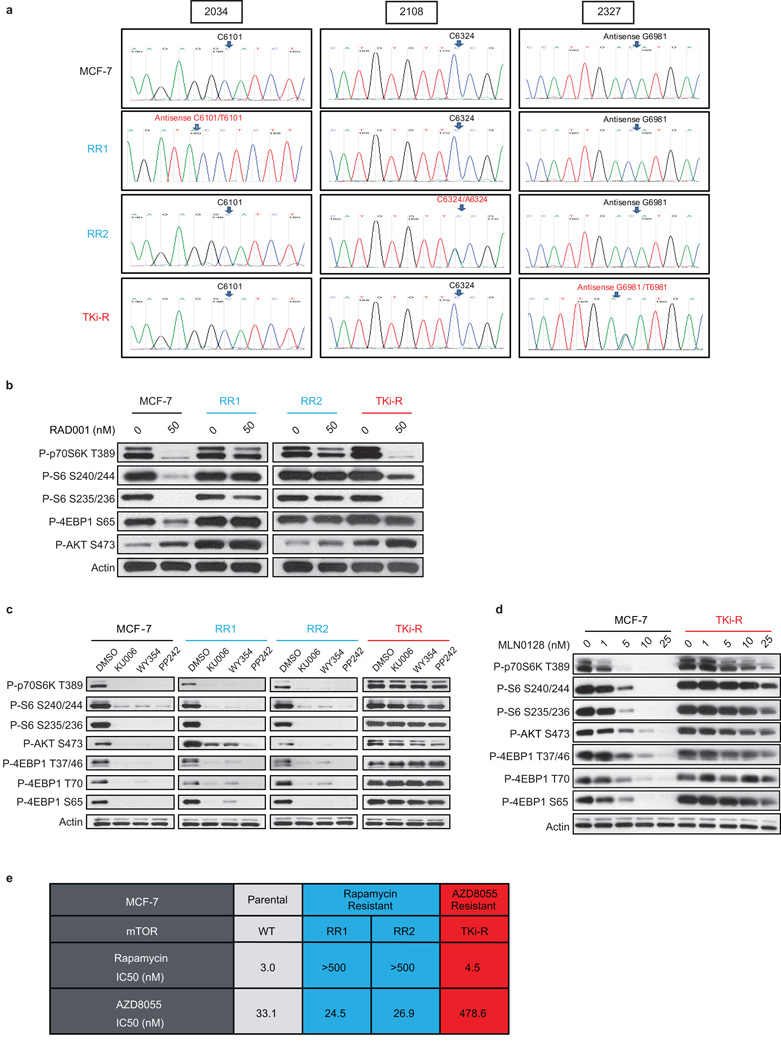 Extended Data Figure 1