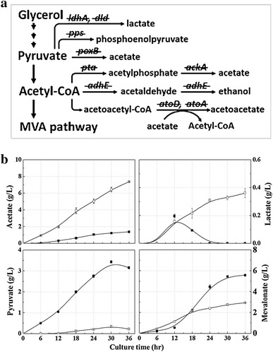 Fig. 5