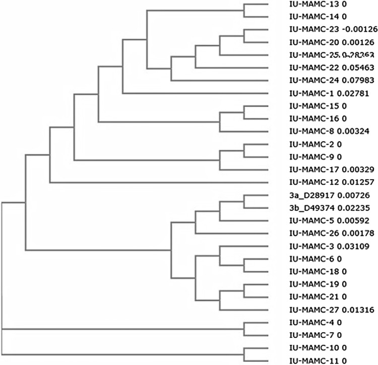 Fig. 2