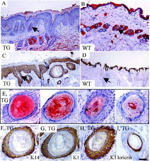 FIG. 6.