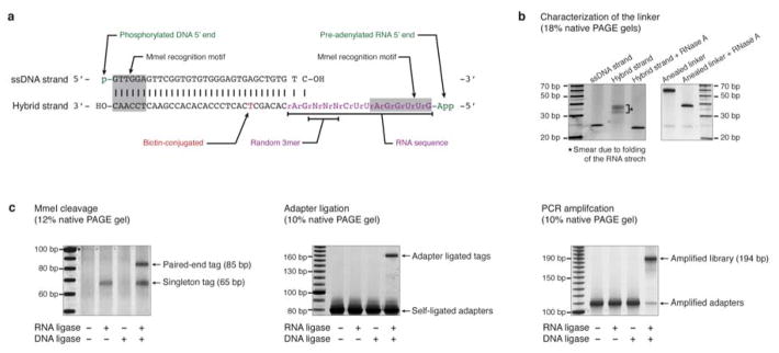 Extended Data Fig. 1