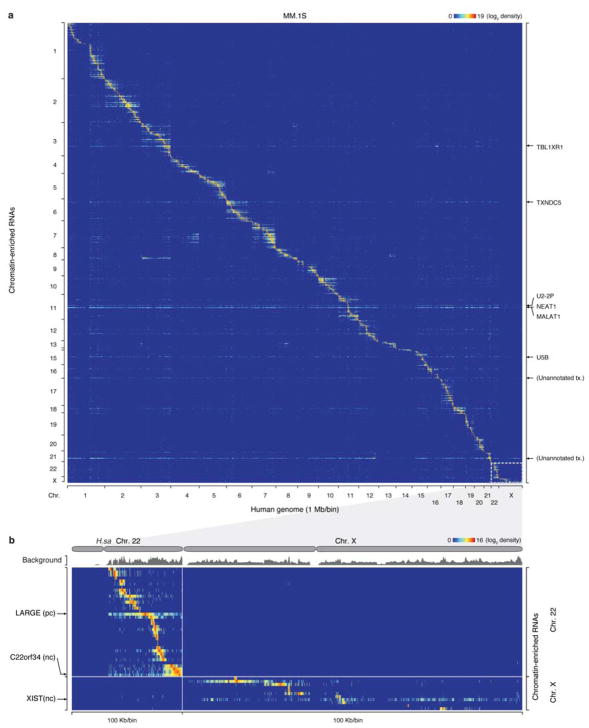 Extended Data Fig. 6