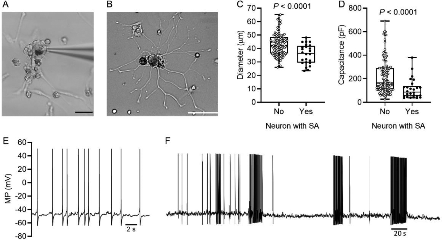 Figure 2.