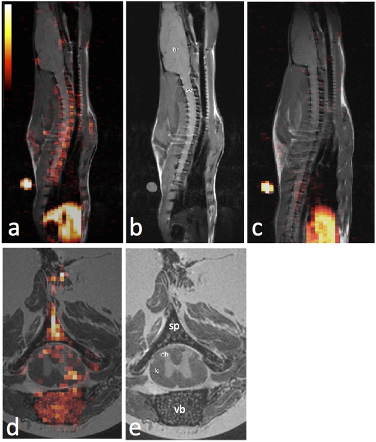 Fig 1