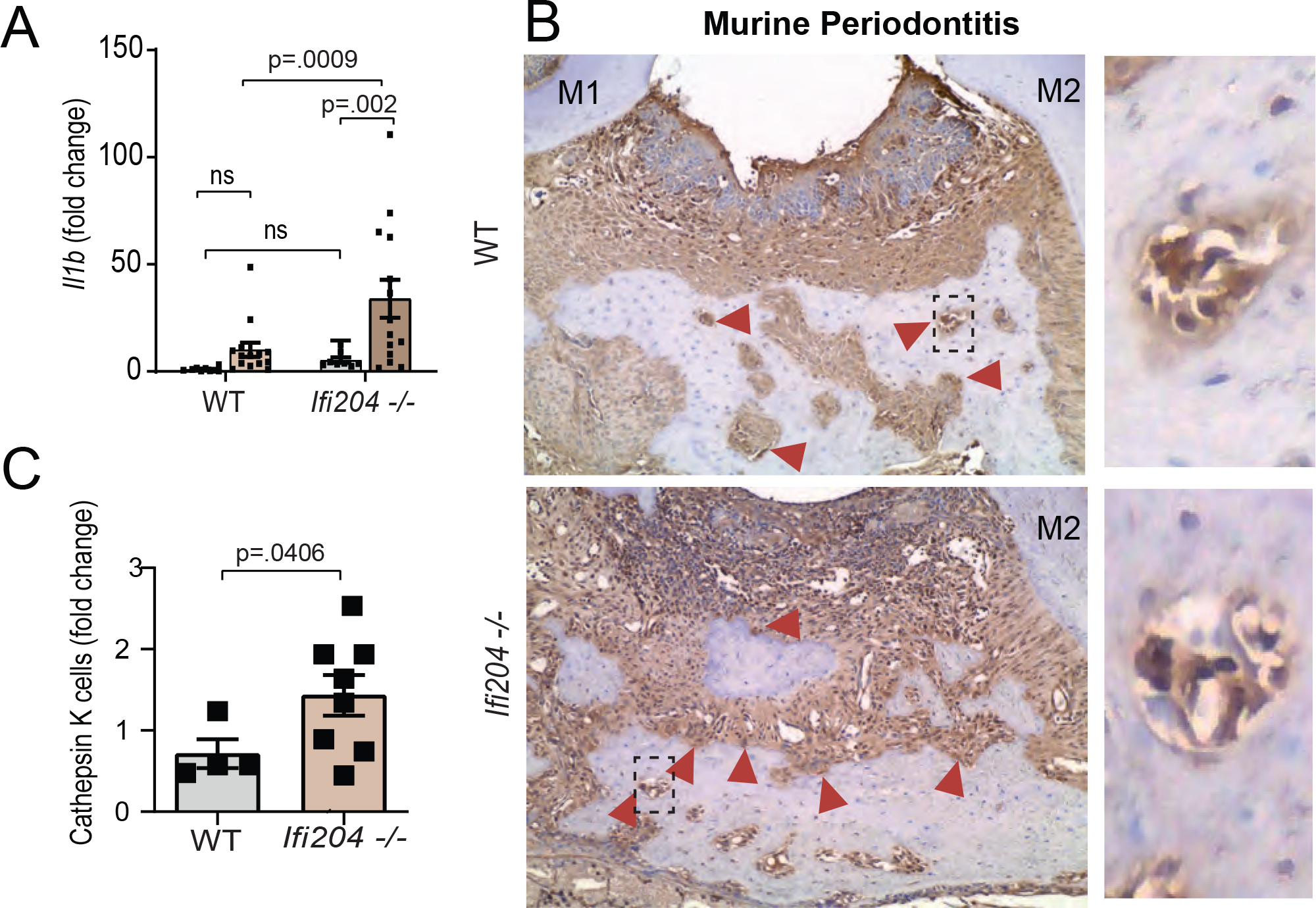 Figure 4: