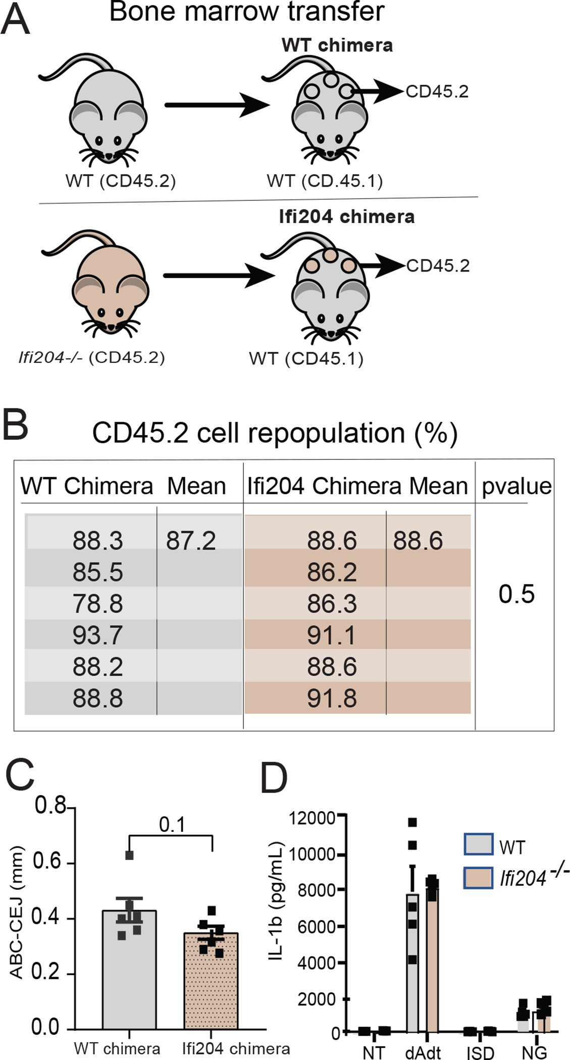 Figure 2: