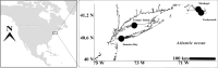 Fig. 1