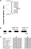 Figure  3.