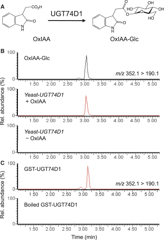 Fig.
2