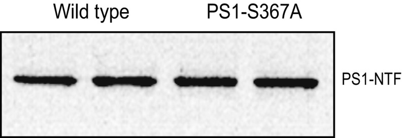 Fig. S3.