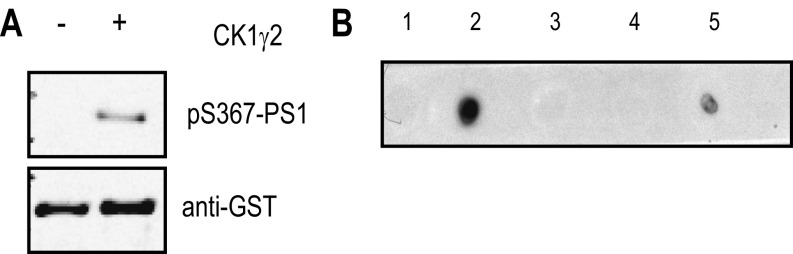 Fig. S2.