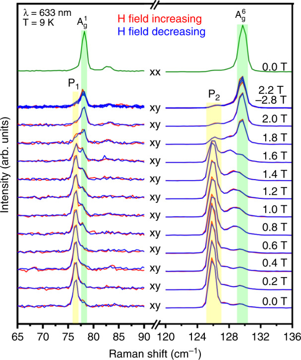 Fig. 2