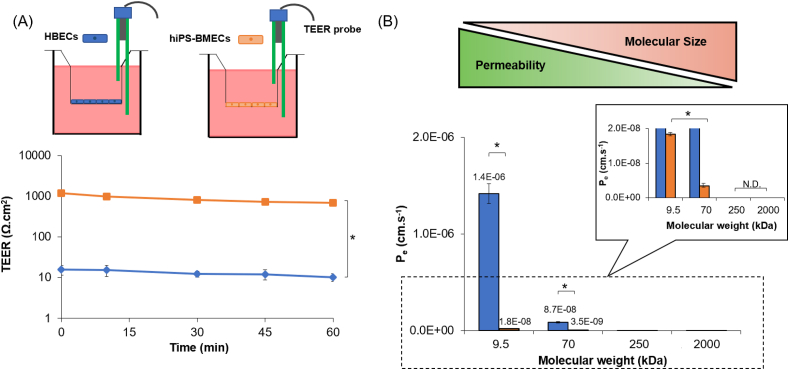 Fig. 3