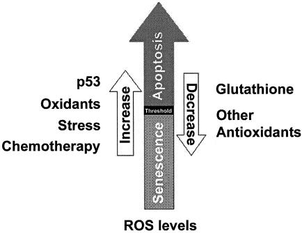 FIG. 8.