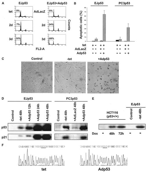 FIG. 1.