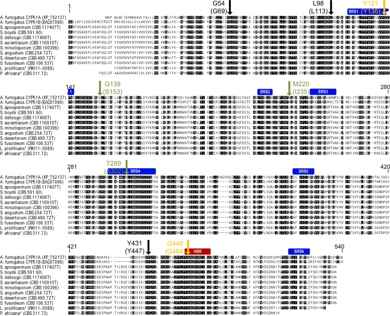 FIG 2