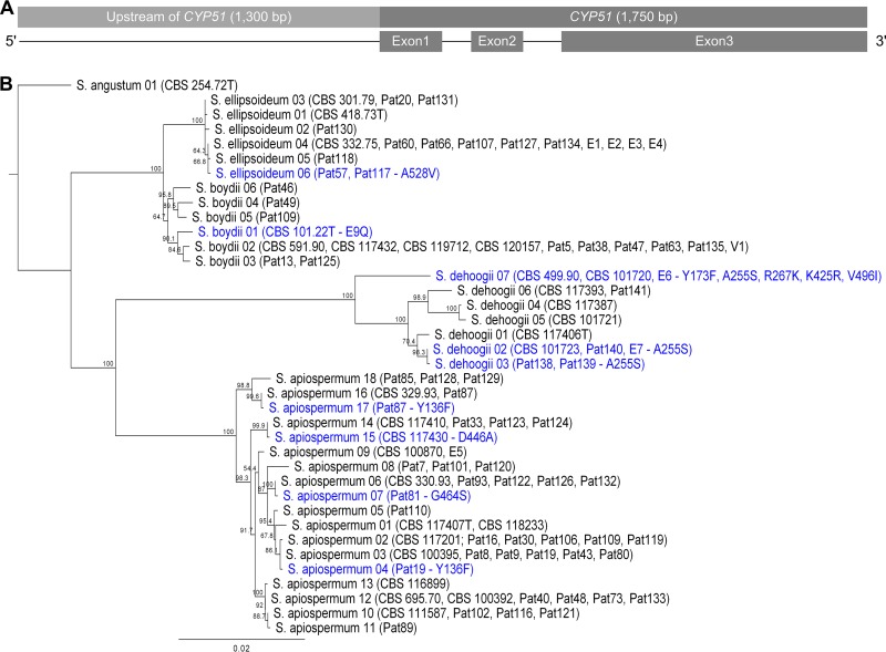 FIG 3