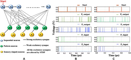 Fig. 6