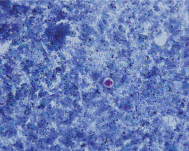 Figure 15-3