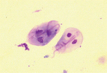 Figure 15-5