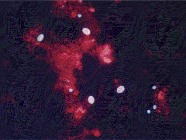 Figure 15-4