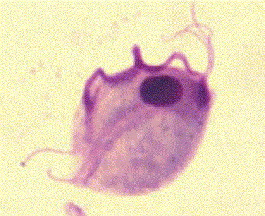 Figure 15-1