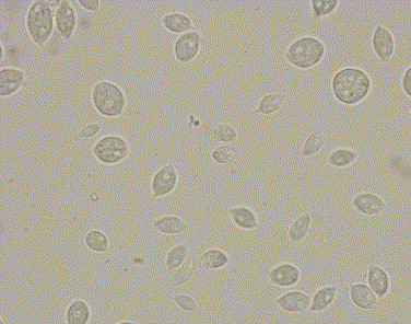 Figure 15-2