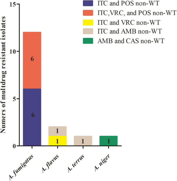 FIGURE 1