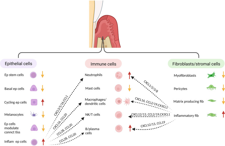 Figure 2