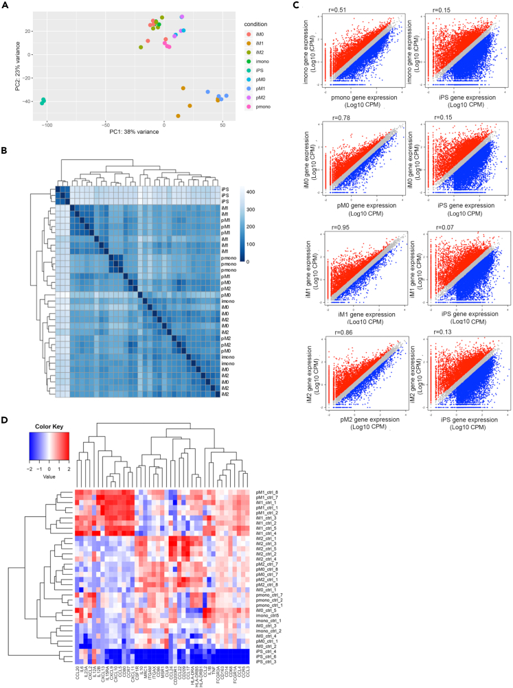 Figure 4